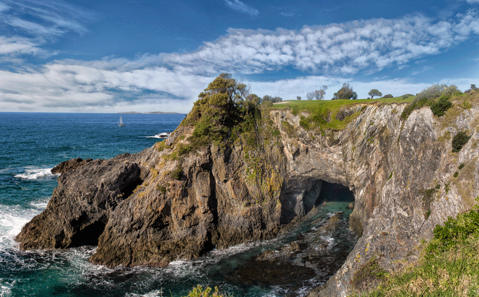Hogans Hole