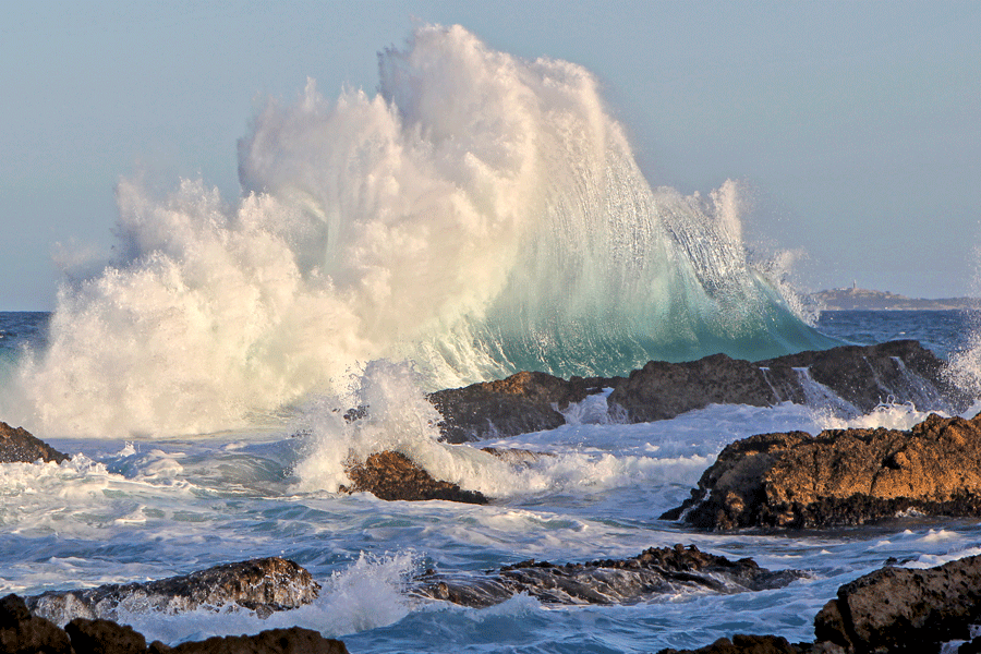 King Tide Wave